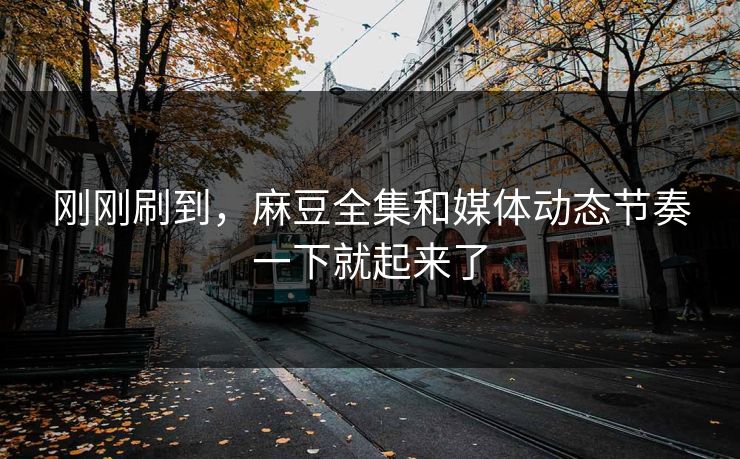 刚刚刷到，麻豆全集和媒体动态节奏一下就起来了